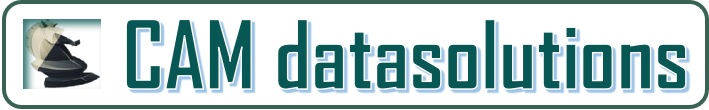 Logo de CAM Data Solutions
